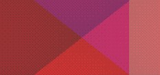 linux erp
