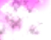 ecommerce software